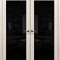 Дверь двустворчатая распашная Dverona Сингл (Цвет: снежная лиственница, Стекло: черный)